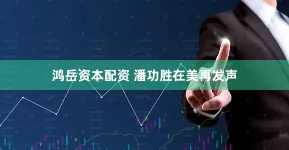 鸿岳资本配资 潘功胜在美再发声
