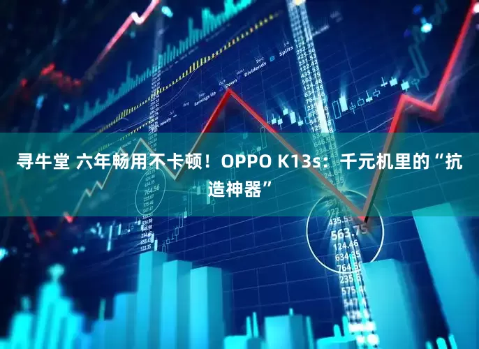 寻牛堂 六年畅用不卡顿！OPPO K13s：千元机里的“抗造神器”