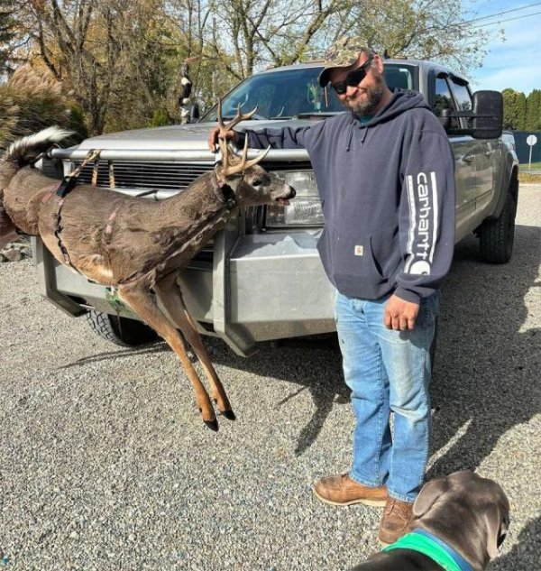 九连阳 美国教堂枪击案嫌疑人身份曝光：伊战老兵，幼子重病负担沉重